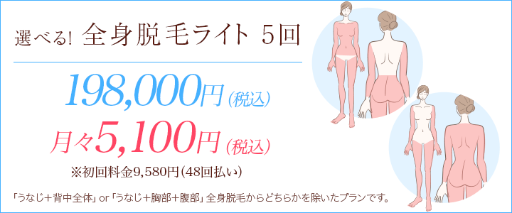 全身ライトプラン